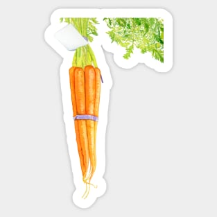 CARROTS PAINTED IN WATERCOLOR Sticker